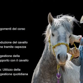 Immagine dell’evento — Interazione con il cavallo
