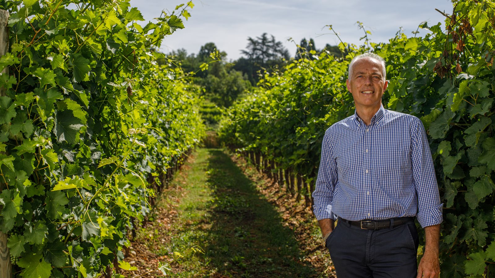 Colutta Wines