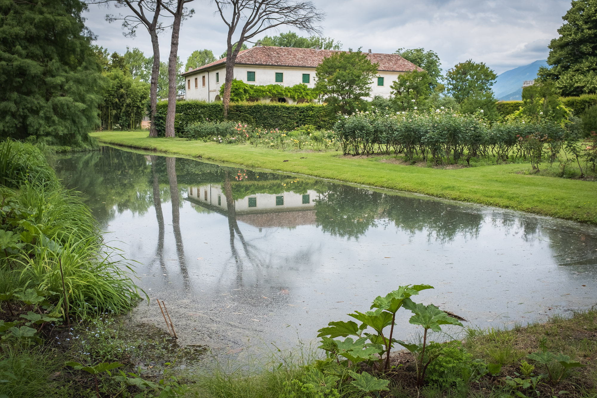 Bellezza Della Natura E Vino A Vistorta