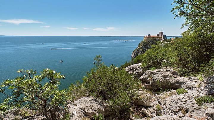 Paragrafo di Testo img 50 a sx - Esplora la natura del Golfo di Trieste