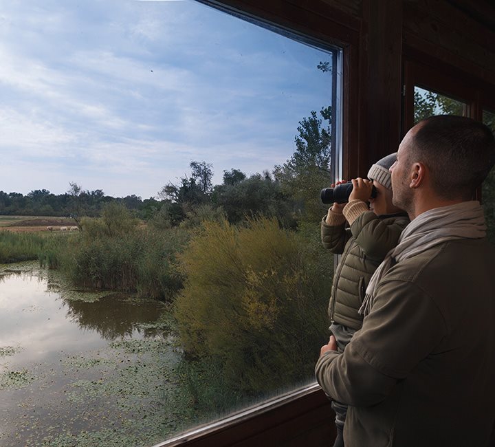 Img clik sx - Lagune, riserve naturali e birdwatching INVERNO