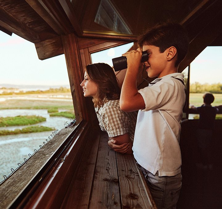 Img clik sx - Lagune, riserve naturali e birdwatching - PRIMAVERA