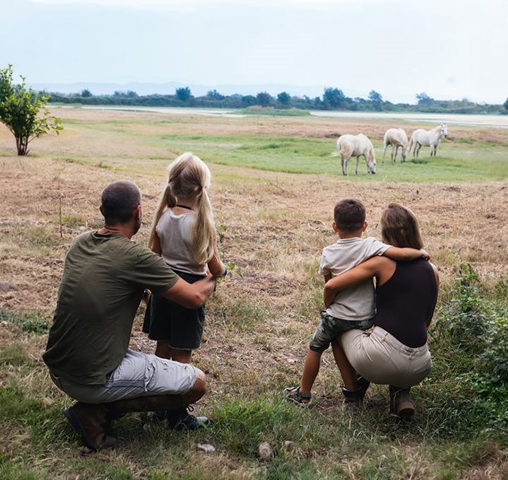 Img clik sx - Lagune, riserve naturali e birdwatching ESTATE